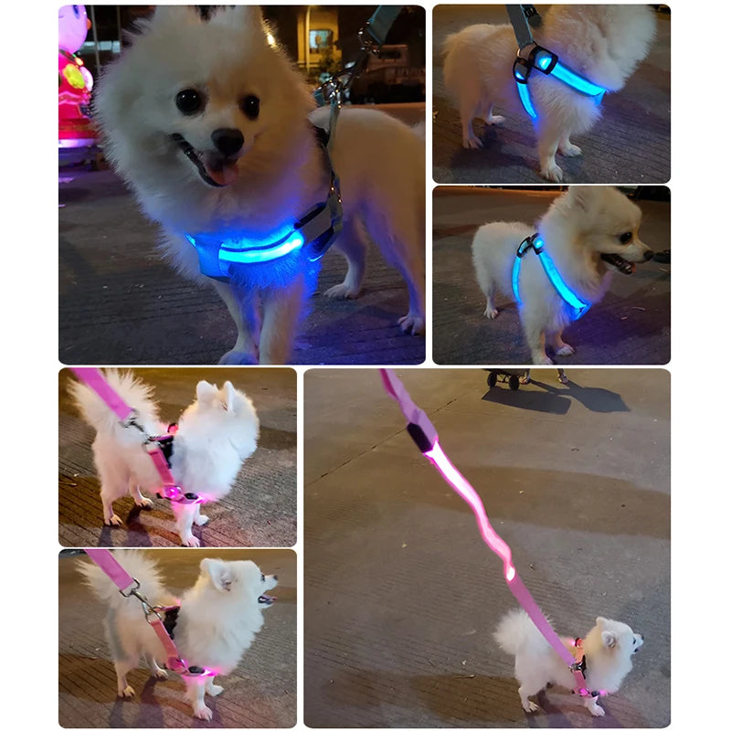 Adjustable LED Dog Harness No Pull Small Medium Glowing Nylon Breast-Band Night Safety Arnes Perro Dropship Pets Dog Accessories