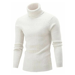 Winter Men's High Quality Turtleneck Sweater Thicken Sweater Casual Pullover